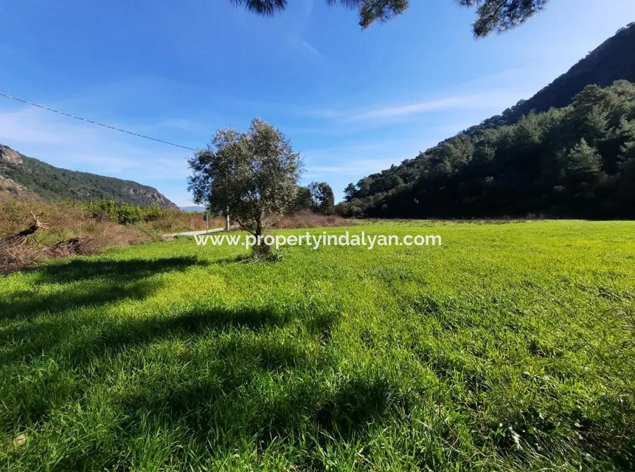 Mergenli For Sale In Ortaca Mountain Zero-Investment A Bargain Suitable Land