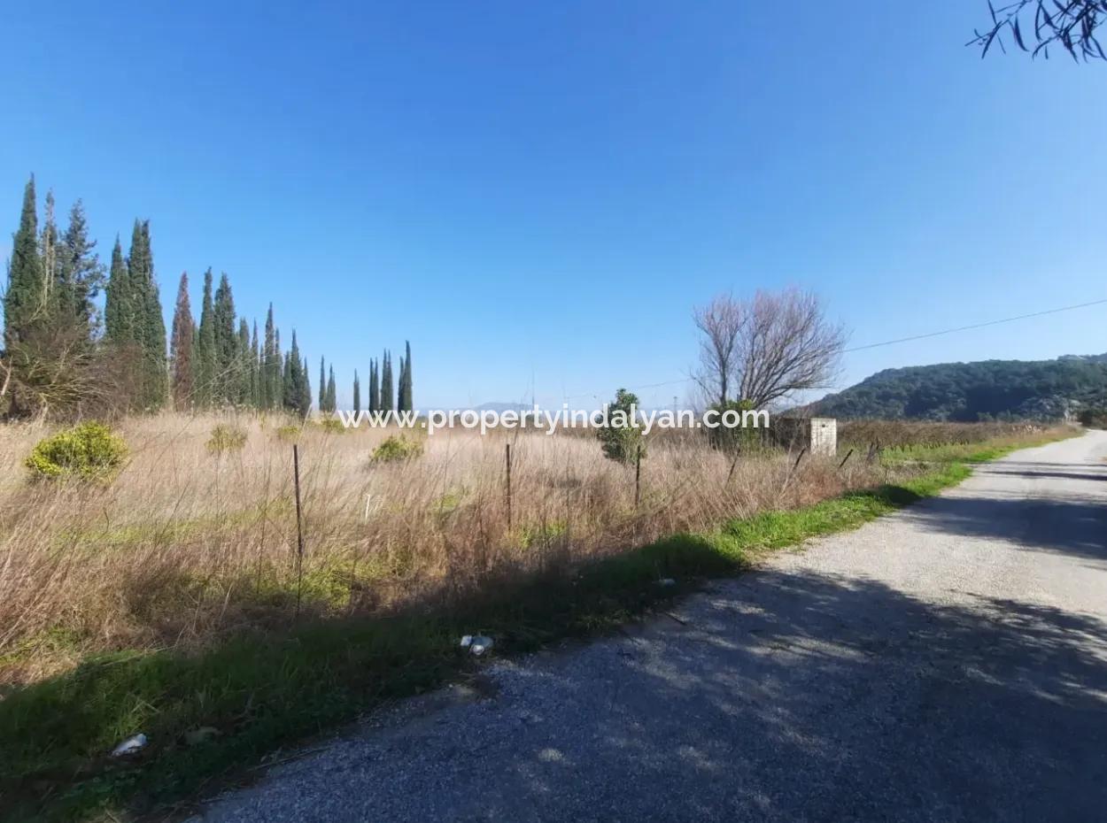 Mugla Ortaca Güzelyurt Sarıgerme Road Facing 2256 M2 Field For Sale