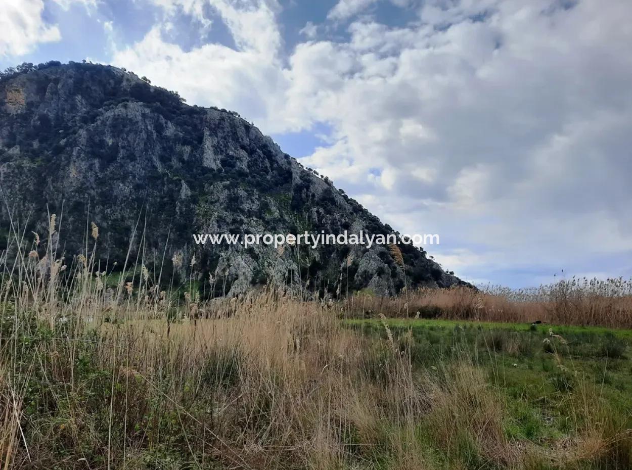 Opportunity Bargain Land Suitable For 9,000 M2 Investment For Sale In Dalyan