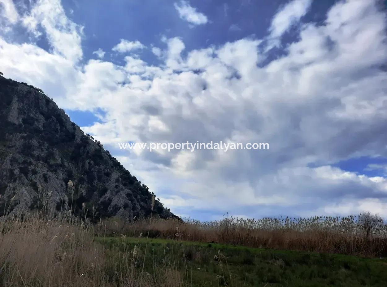 Opportunity Bargain Land Suitable For 9,000 M2 Investment For Sale In Dalyan