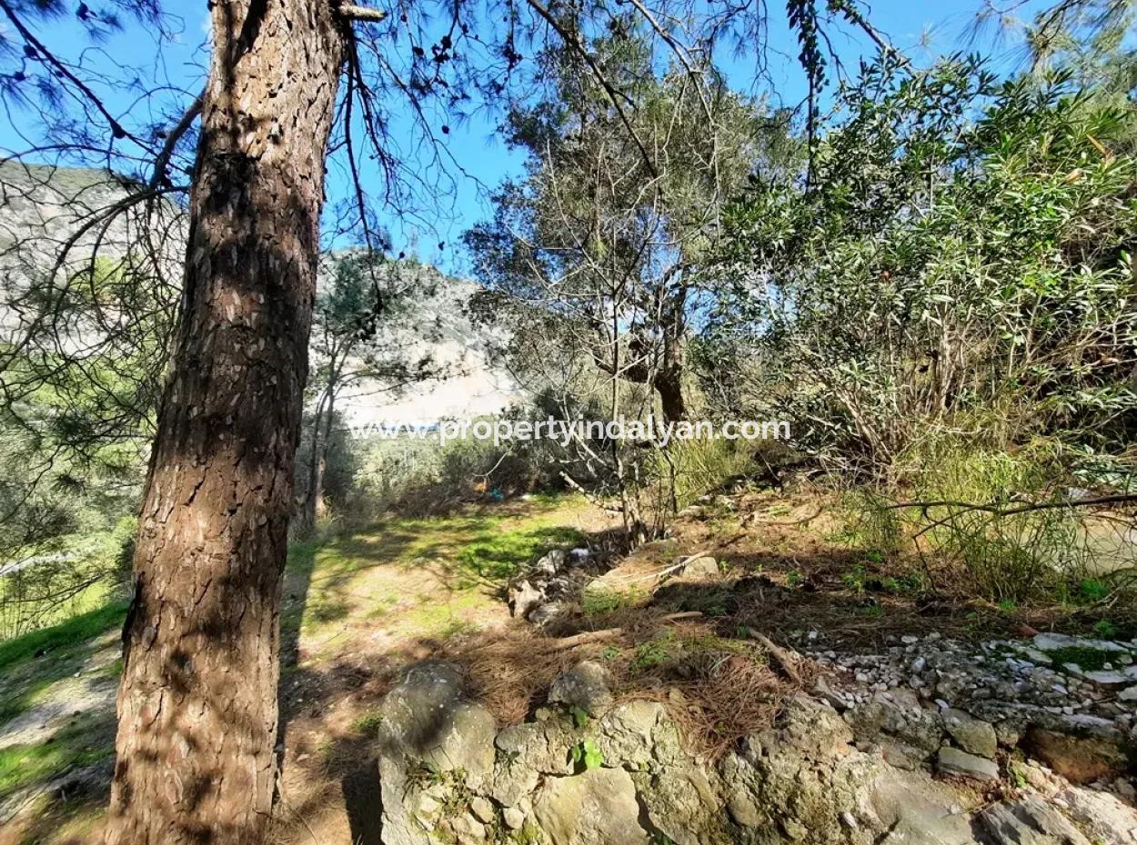 Ruined Stone Village House For Sale In Gökova And Its Land