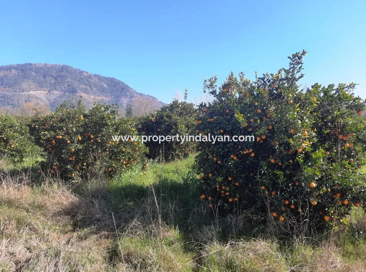 Mugla Archers Have 250 M2 Construction Rights For Sale On 1038 Plots