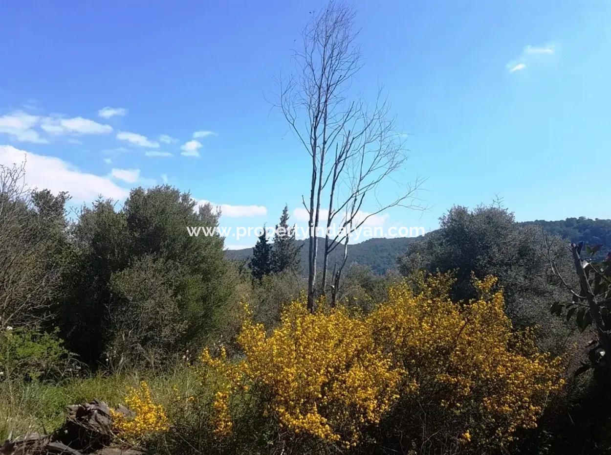 Excellent Plot For Sale Bargain, 2616 M2 Detached Parcels 6