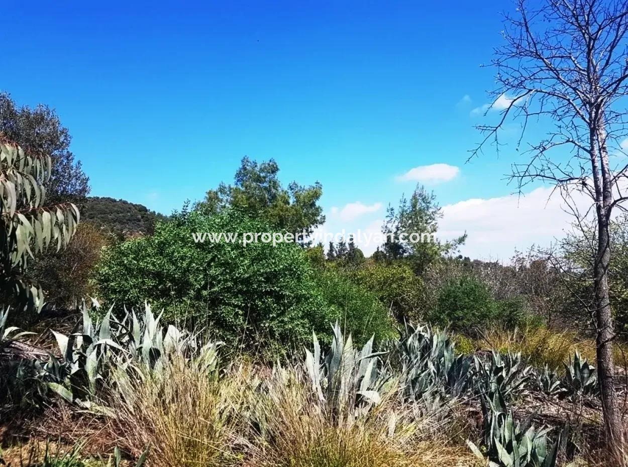 Excellent Plot For Sale Bargain, 2616 M2 Detached Parcels 6