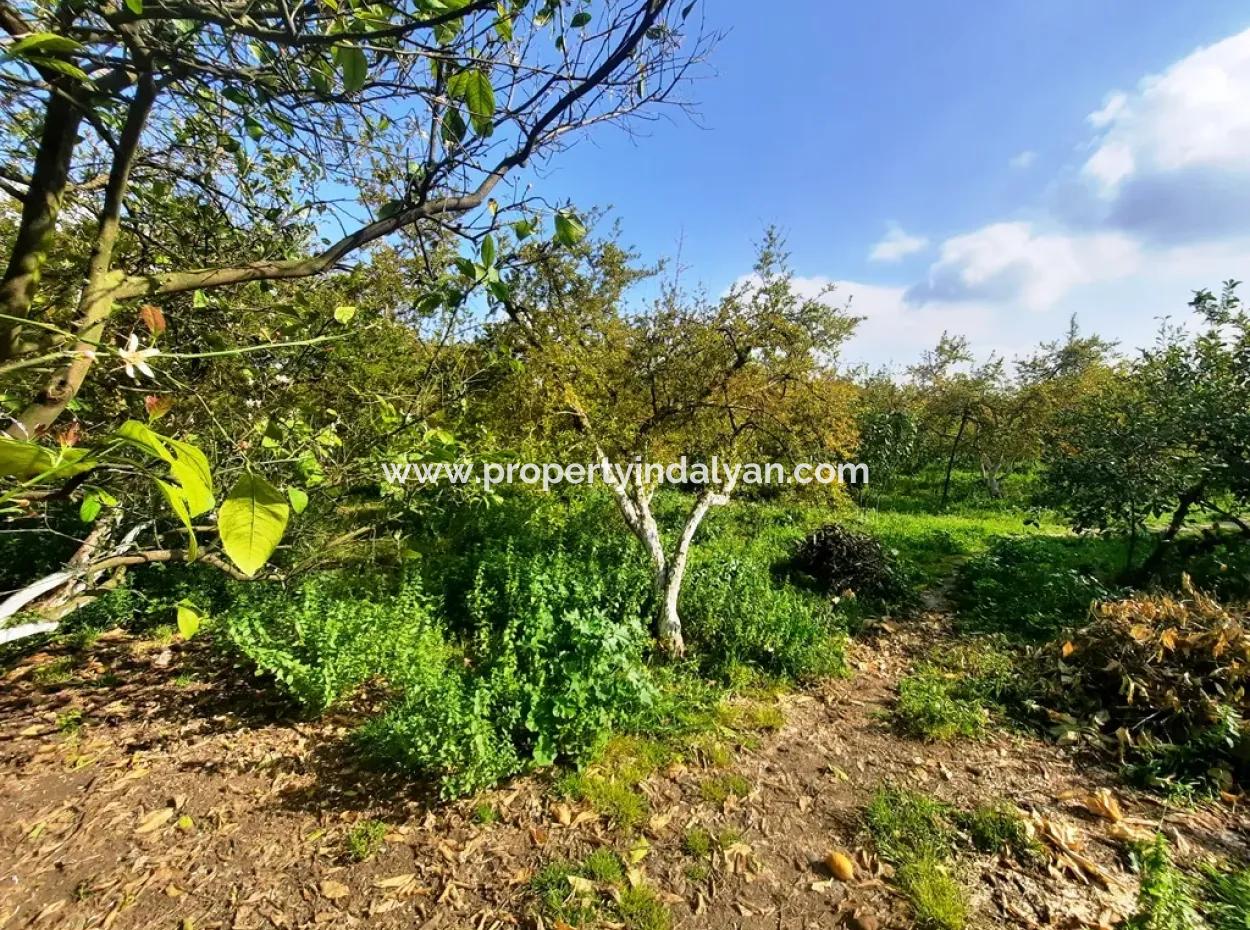 Ortaca Güzelyurt 1 500 M2 Land For Sale 250 M2 Construction Permit