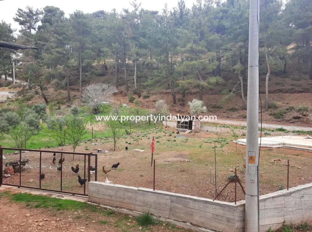 Köyceğinz Agla Yayla Opportunity 1050 M2 Zoning Land For Sale