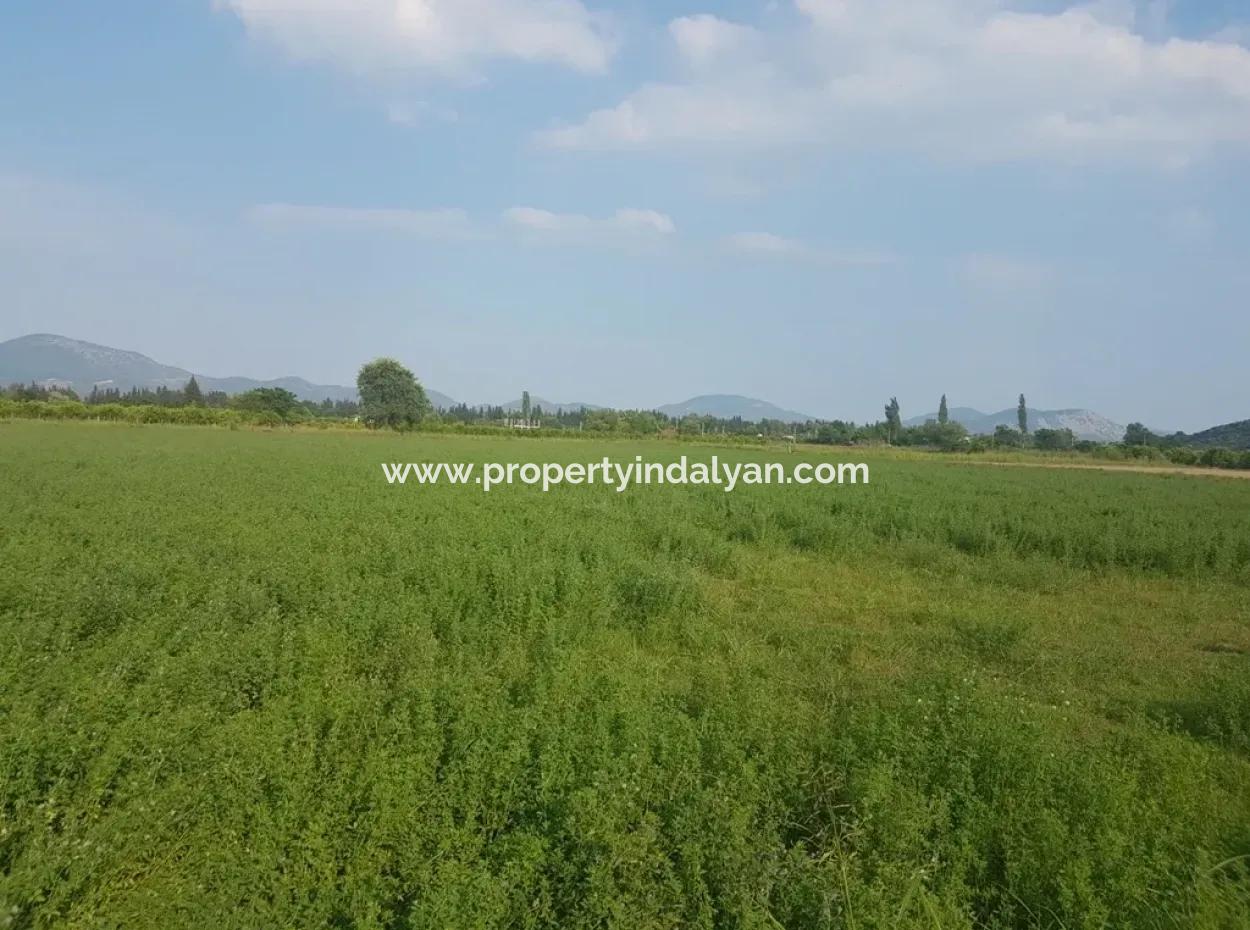 3700 M2 Fertile Field For Sale In Ortaca Fevziye