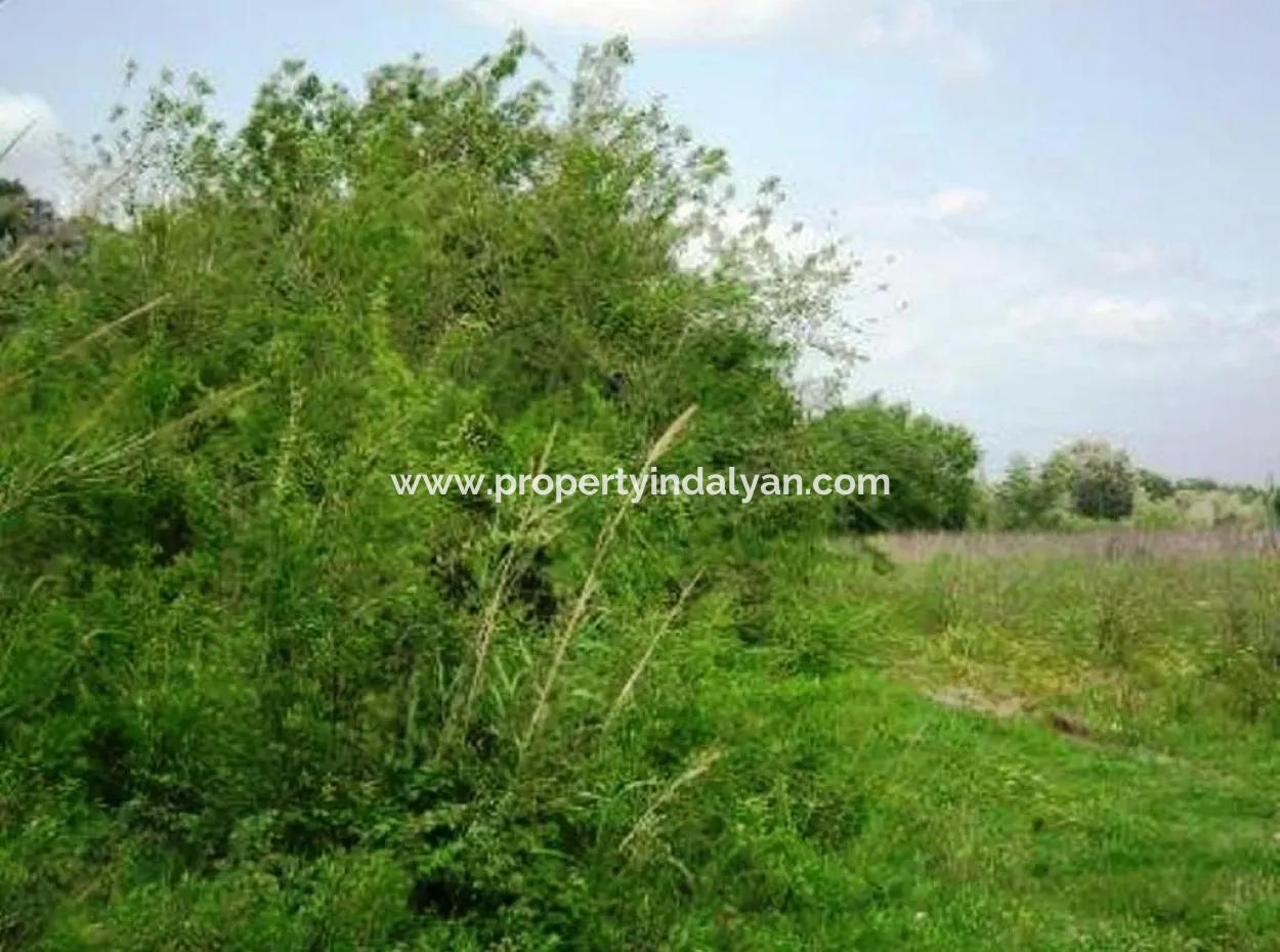 Oriya Fevziye For Sale Bargain Land, Suitable For Investment, 1500 M2