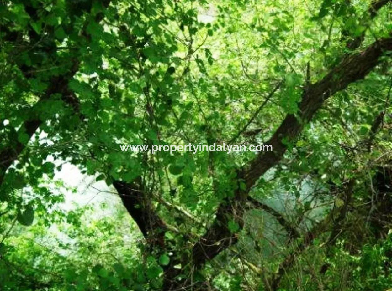 Oriya Fevziye For Sale Bargain Land, Suitable For Investment, 1500 M2