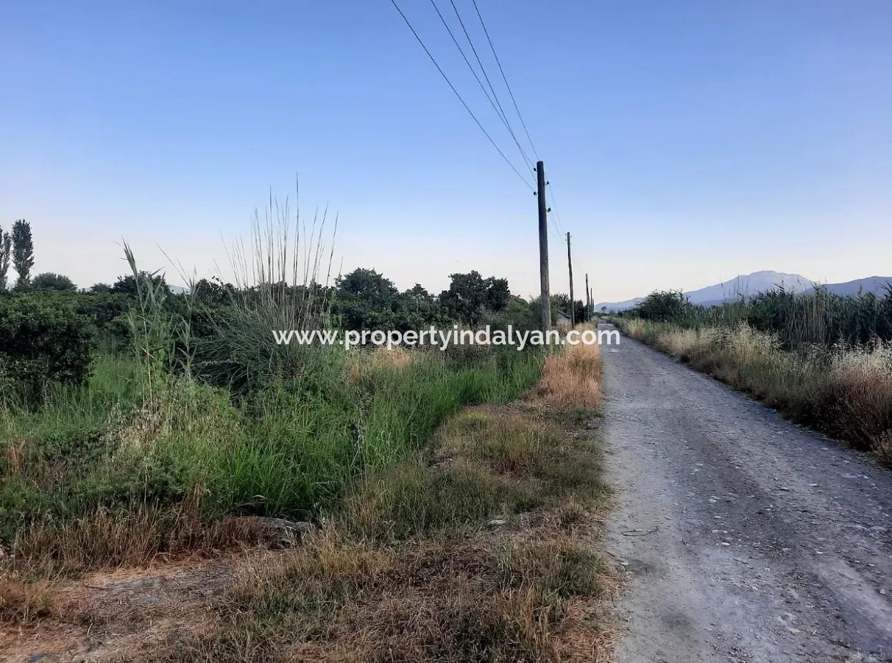 3500 M2 Orange And Tangerine Garden For Sale In Köyceğiz Toparlar