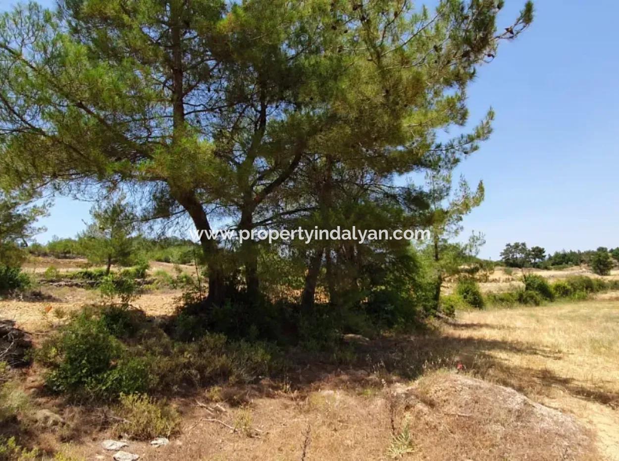 Mugla Menteşe Denizova 1869 M2 Bargain Field For Sale