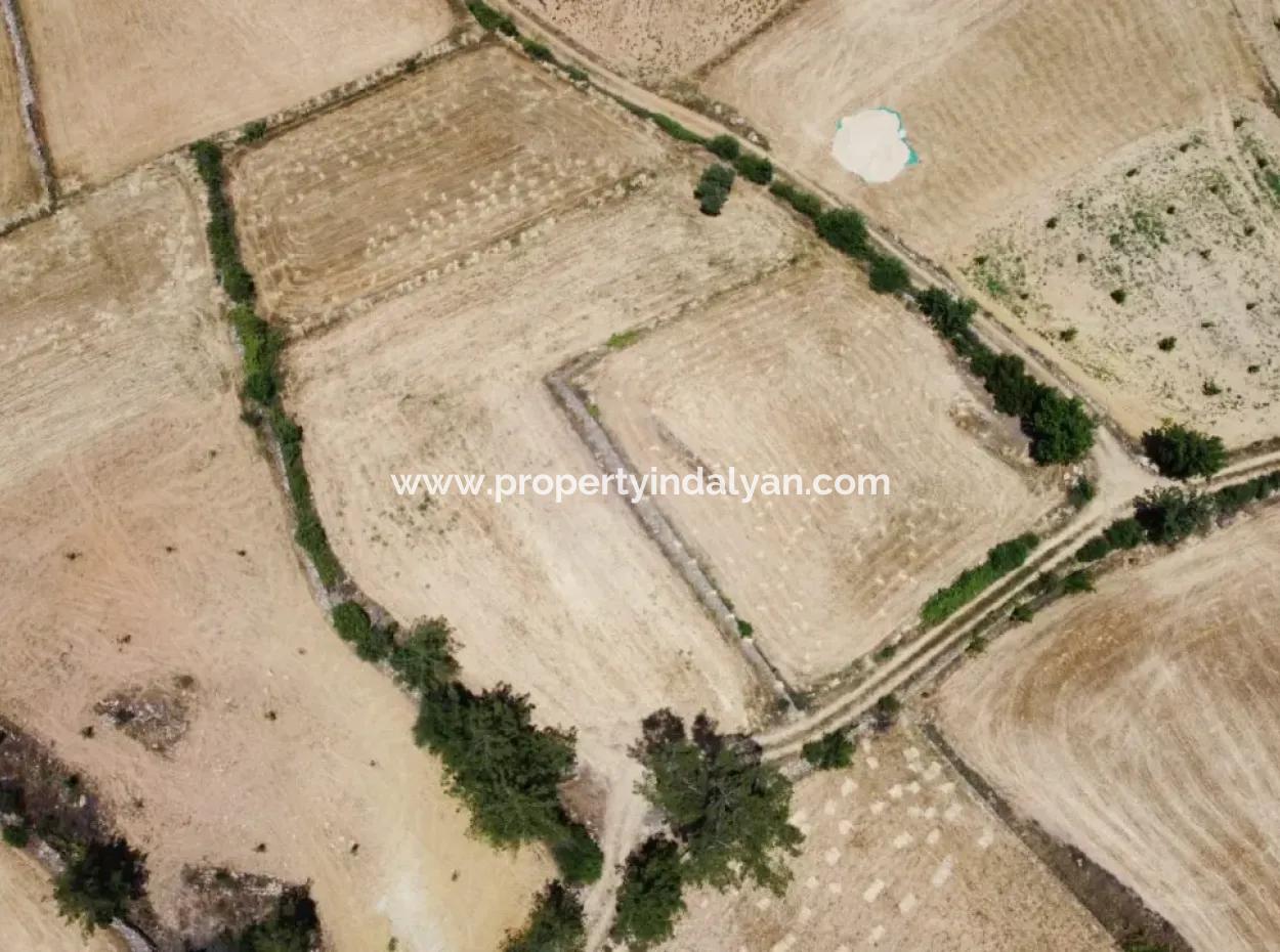 Mugla Menteşe Denizova 1869 M2 Bargain Field For Sale