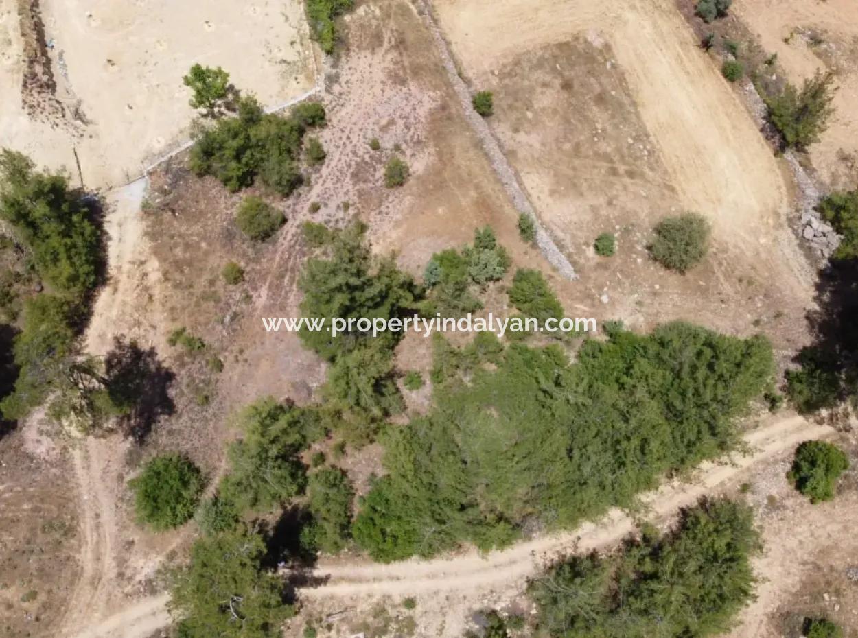 3031 M2 Detached Field For Sale In Mugla Menteşe Denizova