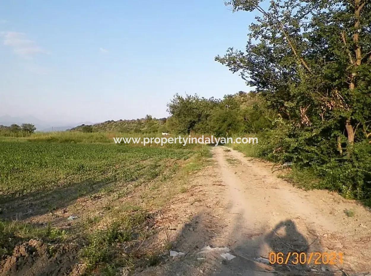 10 000 M2 Fertile Land For Sale In Mugla Ortaca Mergenli