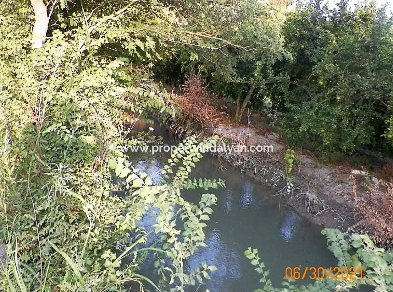 10 000 M2 Fertile Land For Sale In Mugla Ortaca Mergenli