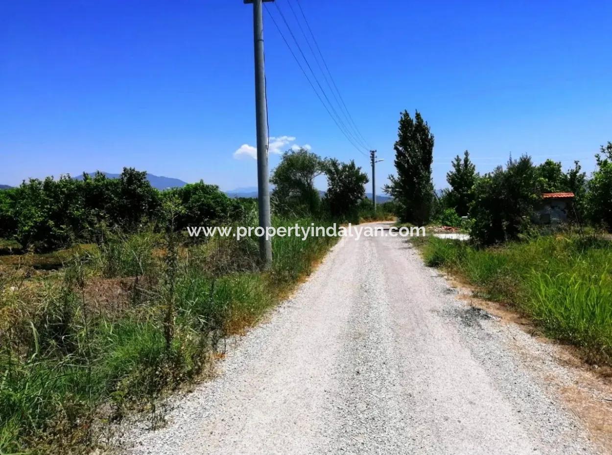 Lemon Garden For Sale Bargain Ortaca