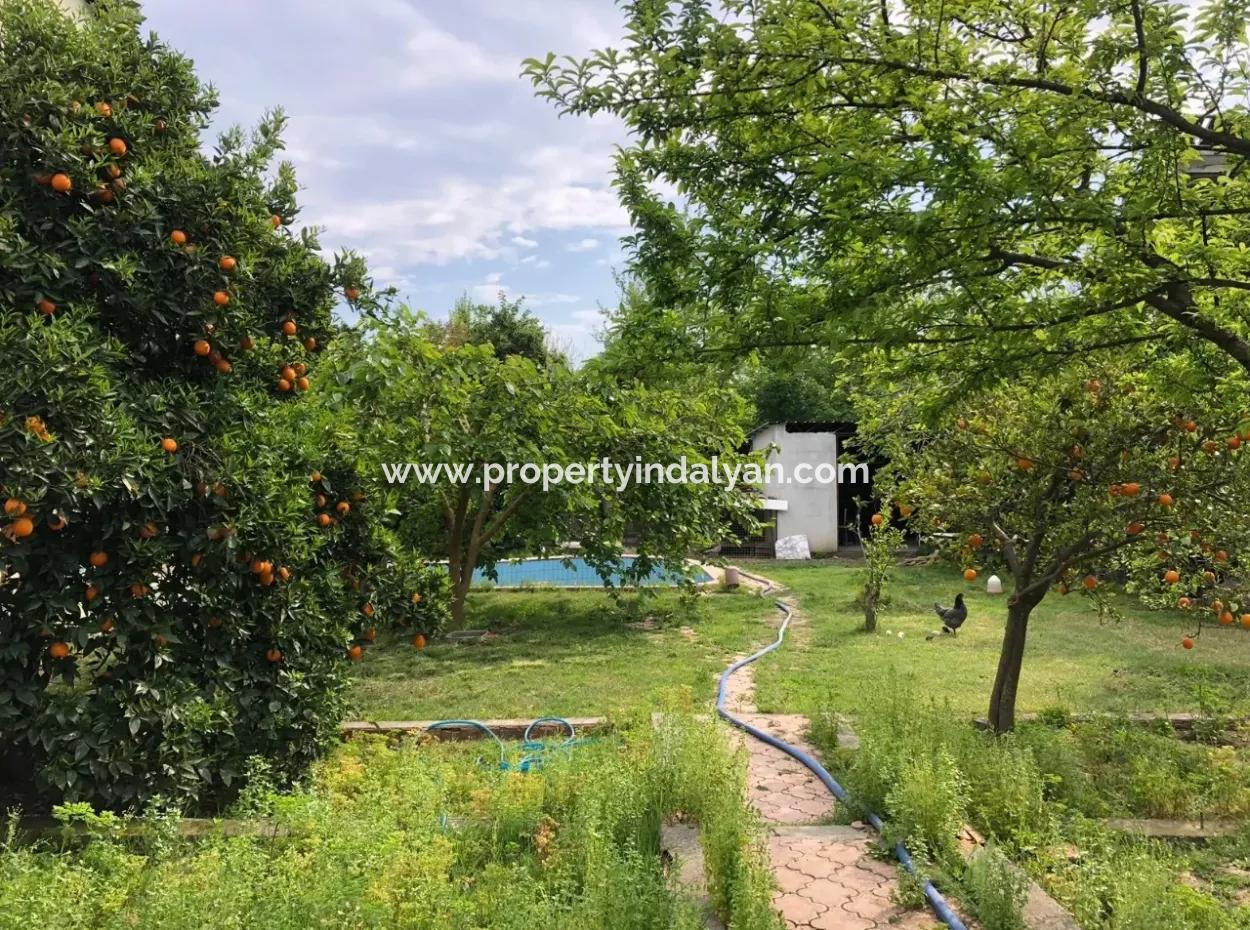 Detached House For Sale In Oriya Raider