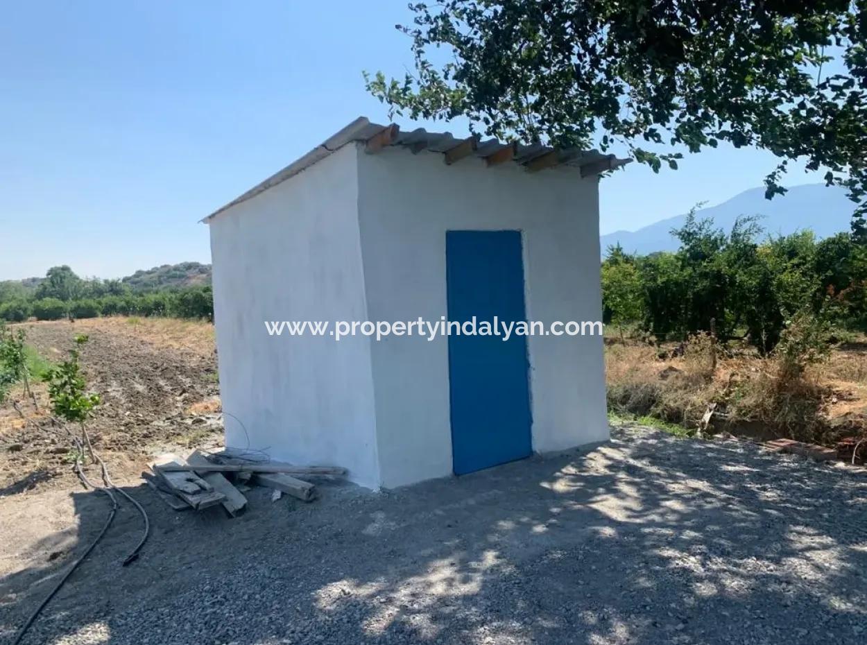 7300 M2 Lemon Field For Sale In Mugla Ortaca Tepearasi