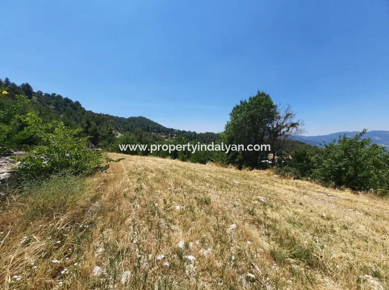 Denizli Çameli Gökçeyaka 2762 M2 Detached Land For Sale