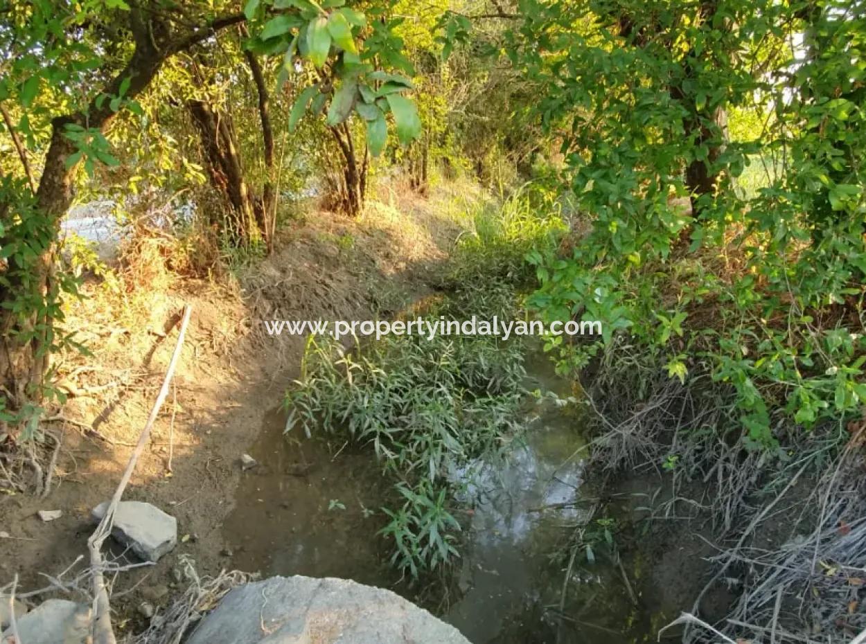 Pomegranate Garden For Sale In Mugla Ortaca Tepearasi