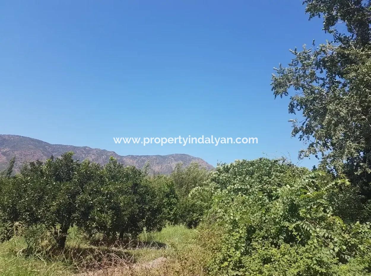 Mandarin Garden Up For Sale