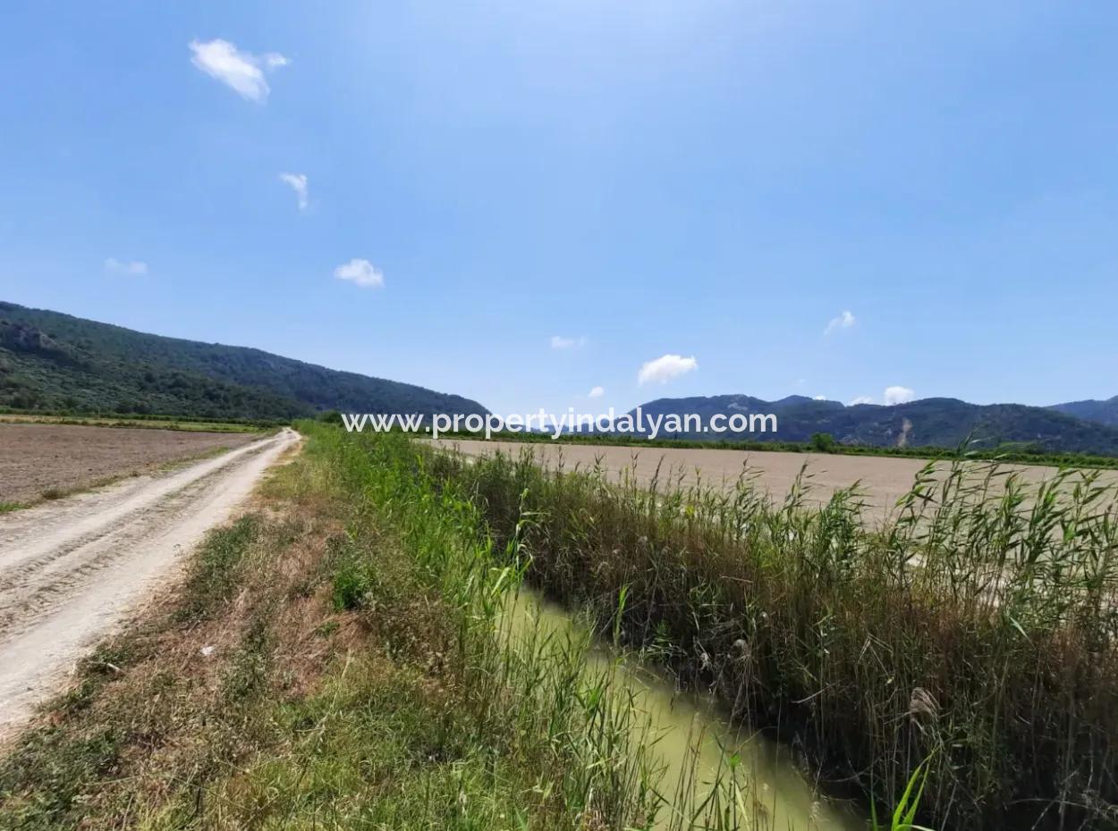 Fertile Land For Rent In Ortaca Güzelyurt