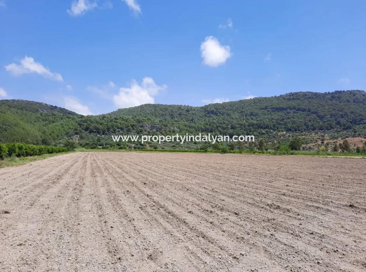 Fertile Land For Rent In Ortaca Güzelyurt