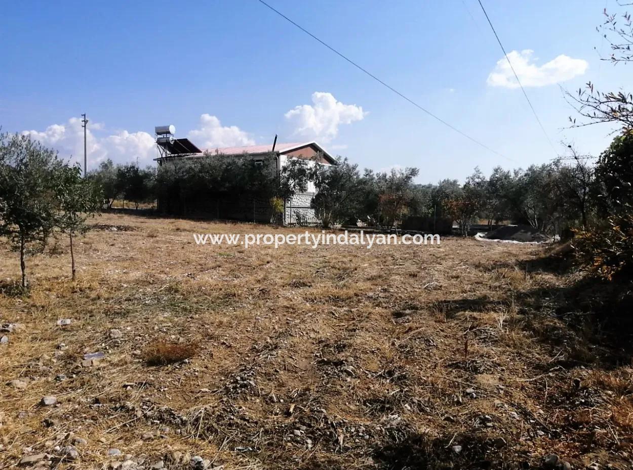 2 Detached Houses For Sale In 1992 M2 Plot Overlooking The Lake In Köyceğiz Zeytinalanı