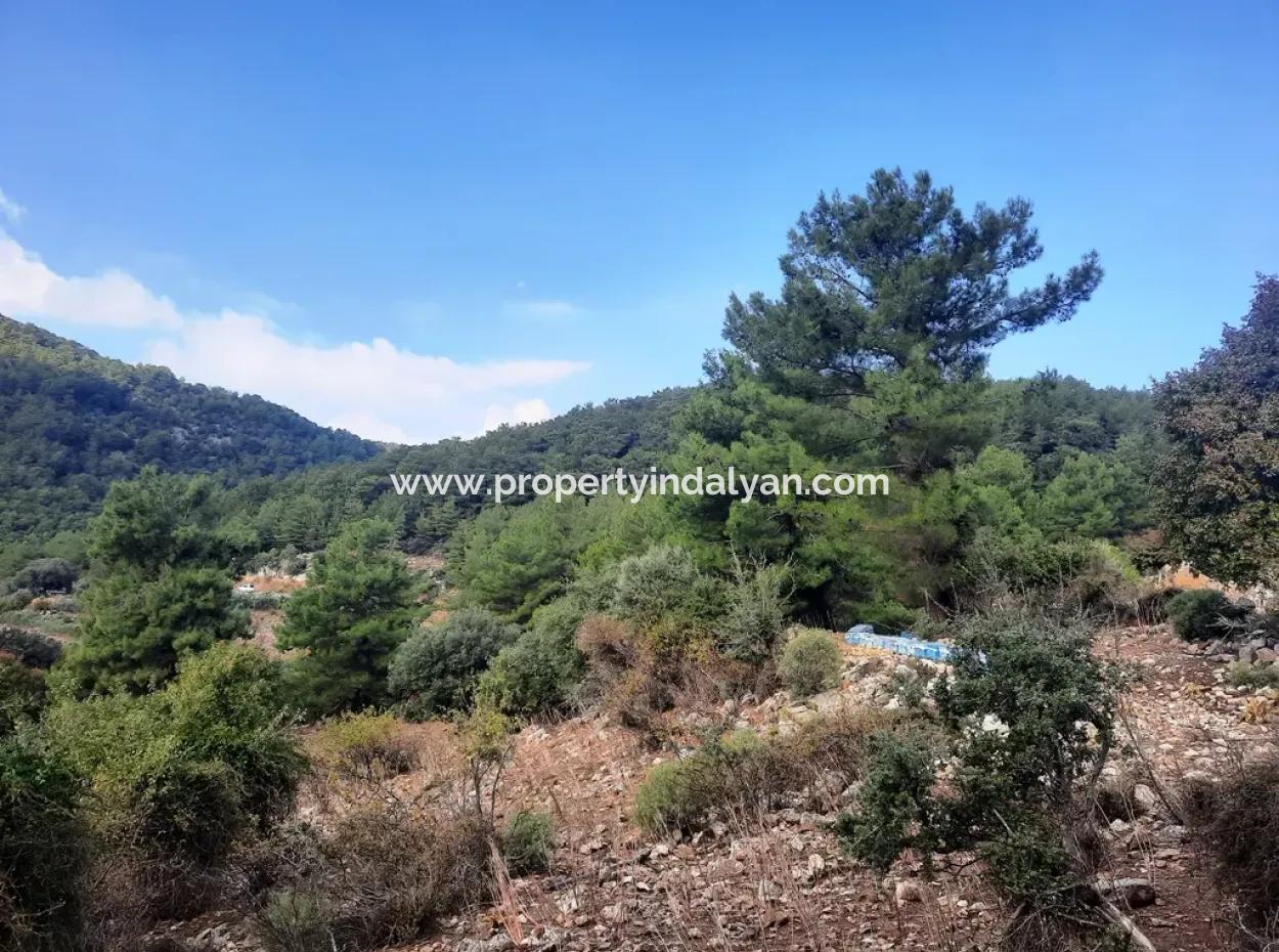 Mugla Dalyan Gökbel 320 M2 Bargain Land For Sale