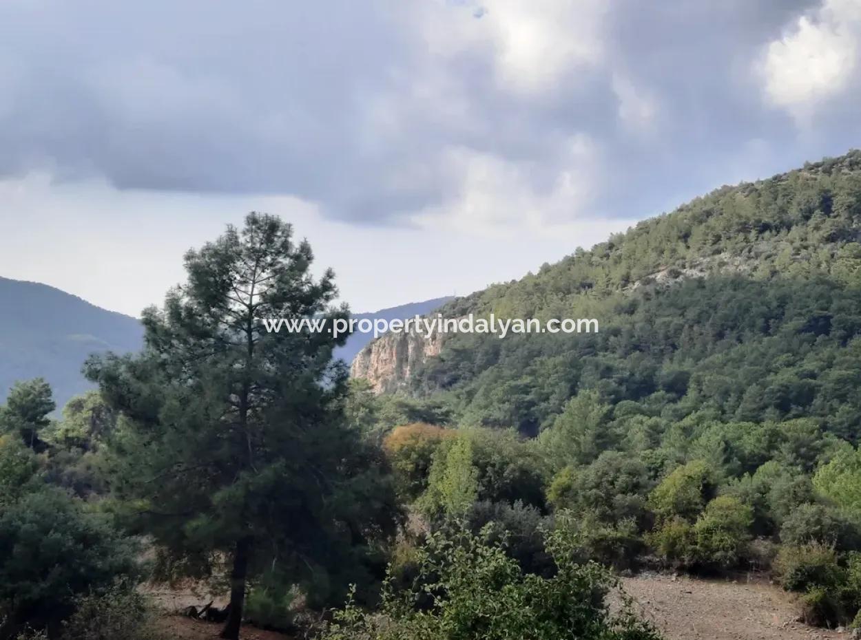 Mugla Dalyan Gökbel 320 M2 Bargain Land For Sale