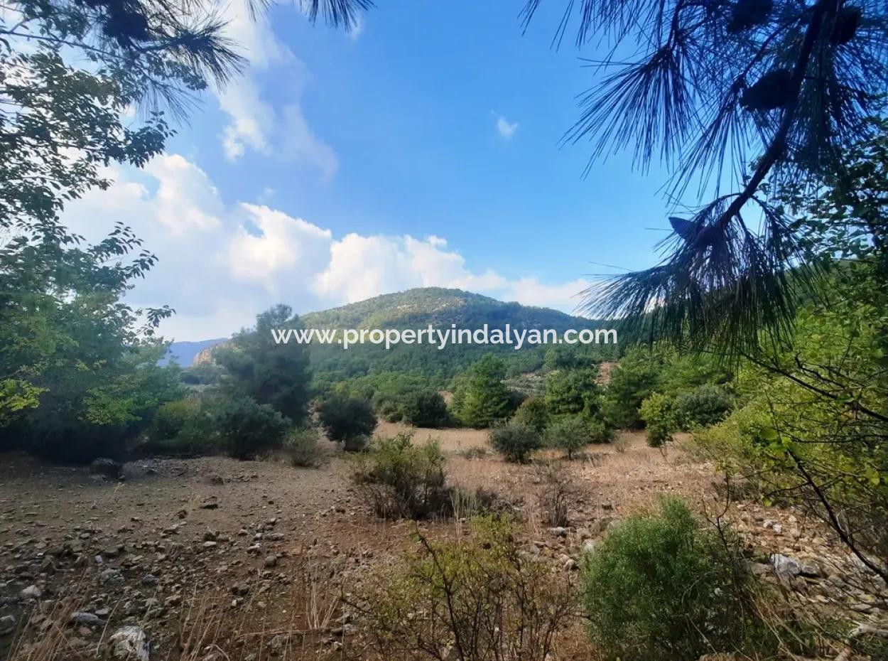 Mugla Dalyan Gökbel 320 M2 Bargain Land For Sale