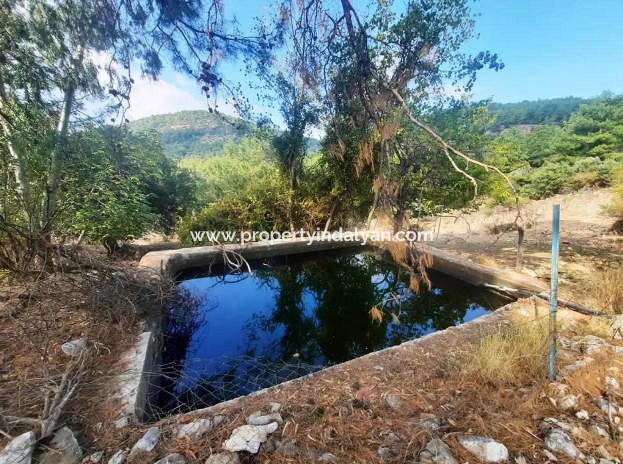 Mugla Dalyan Gökbel 320 M2 Bargain Land For Sale