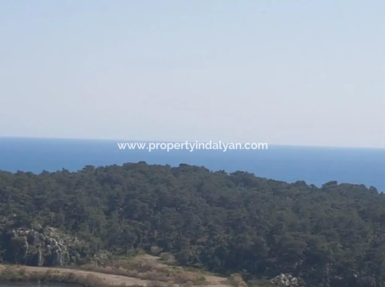 Plot With Sea Views For Sale Bargain Ortaca Sarıgerme