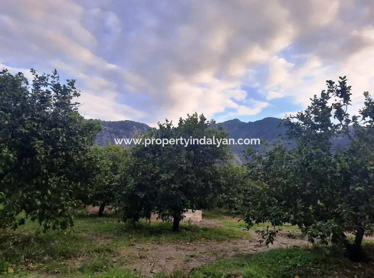 Mugla Dalyan 1100 M2 Land With Bargain Shares Suitable For Investment For Sale