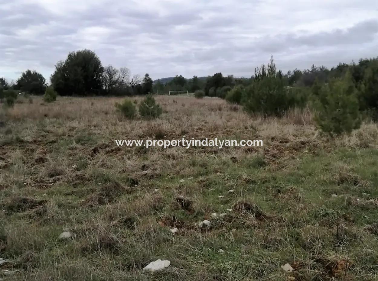 30949 M2 Fertile Field For Sale In Mugla Dalaman Gürleyik