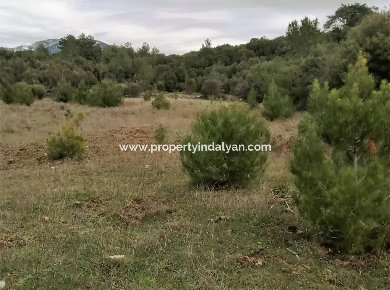 30949 M2 Fertile Field For Sale In Mugla Dalaman Gürleyik