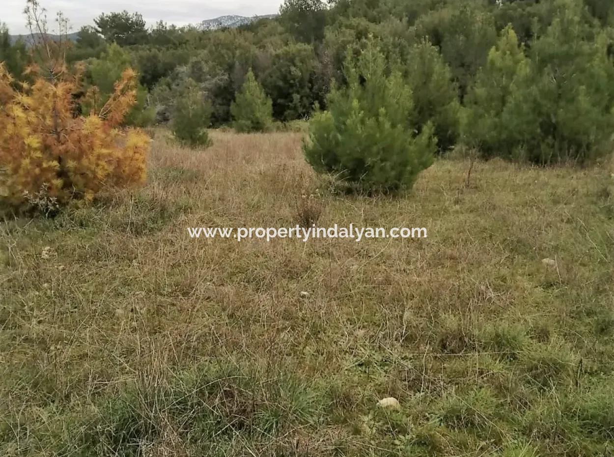 30949 M2 Fertile Field For Sale In Mugla Dalaman Gürleyik