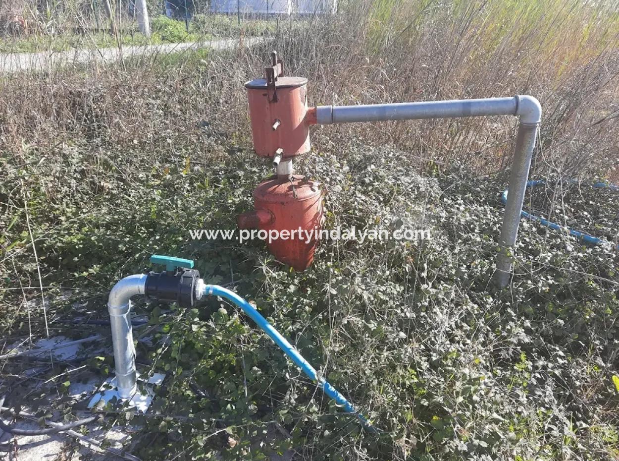 Mugla Ortaca Dikmekavak 6000 M2 Land 3+ 1 Detached Houses For Rent