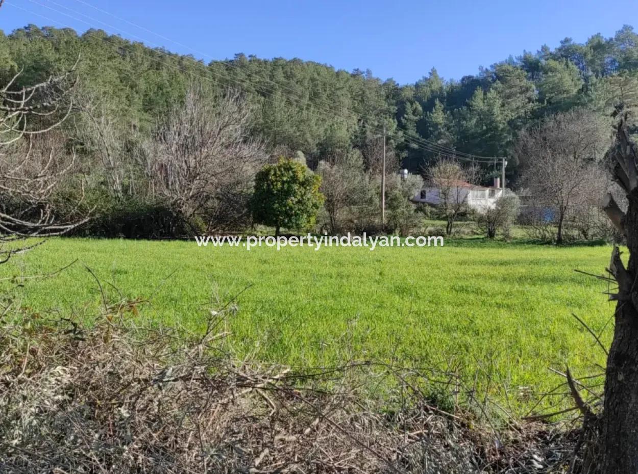 Mugla Ula Karabörtlen 2956 M2 Detached Land For Sale