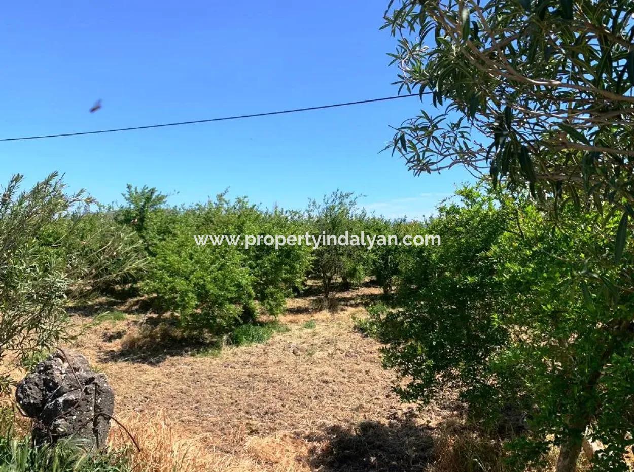 17 500 M2 Land In The Village Built-In Area For Sale In Ortaca Fevziye