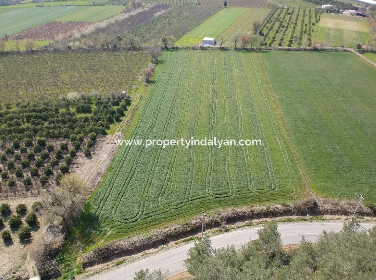 15220 M2 Field For Sale Between Ortaca Tepearasi