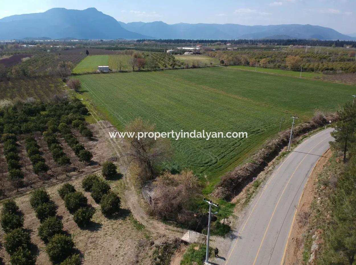 15220 M2 Field For Sale Between Ortaca Tepearasi