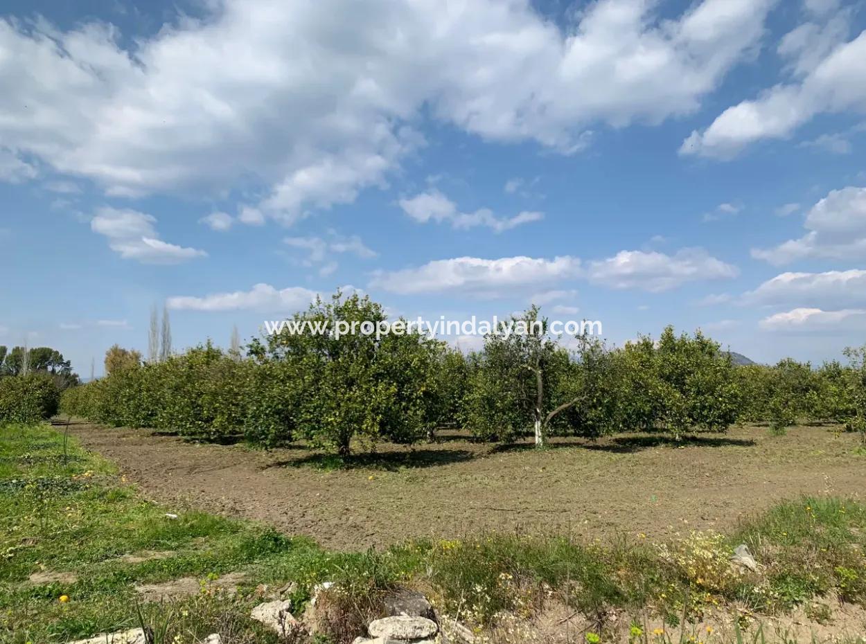 Mugla Dalyan Marmarlı 1500 M2 Land For Sale