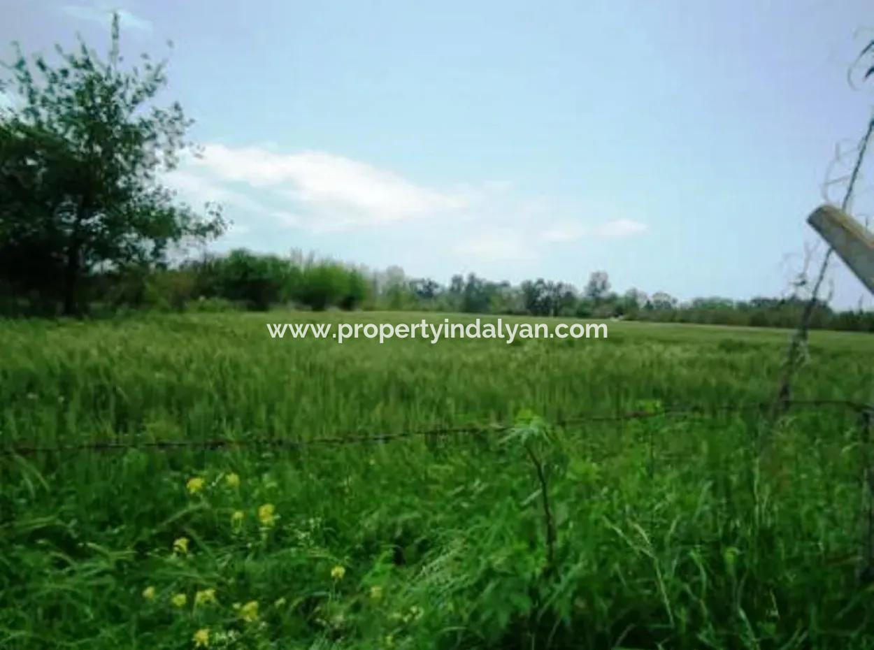 8 000 M2 Fertile Land For Sale In Muğla Ortaca Fevziye