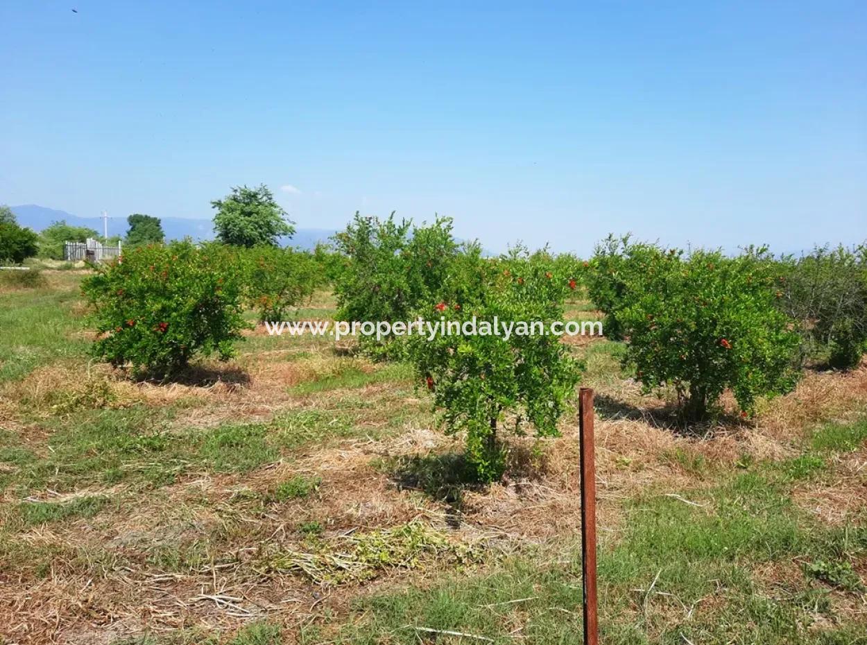 Muğla Ortaca Tepearası For Sale Kelepir Detached 22 250 Land