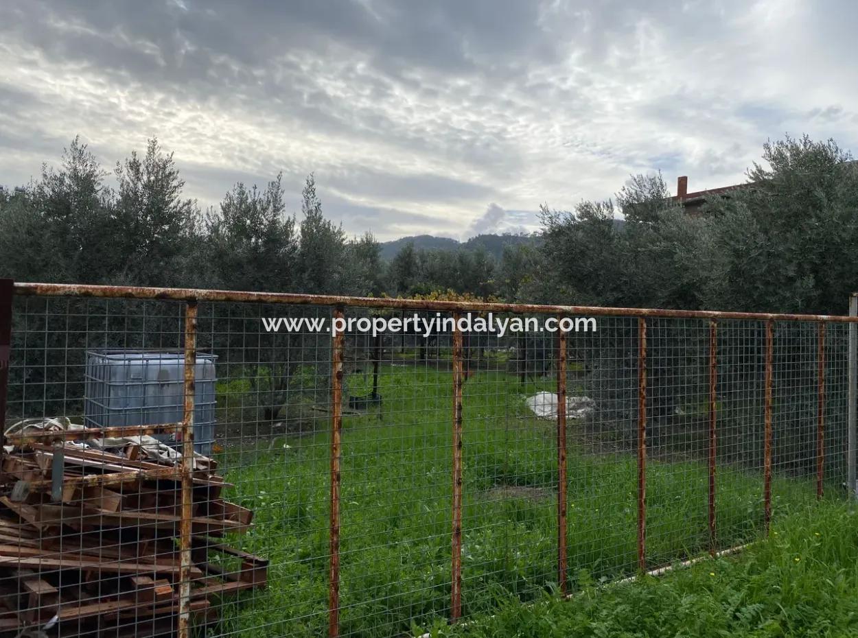 Muğla Ortaca Karaburun Mah 600 M2 Land For Sale