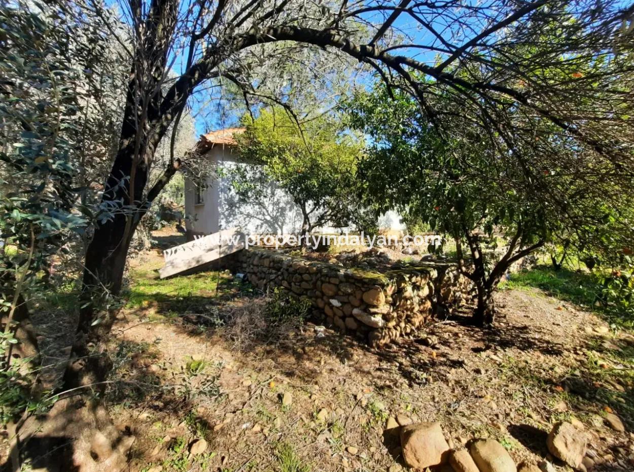 Köyceğiz Toparlarda 4 200 M2 Land Single Storey Detached House For Sale