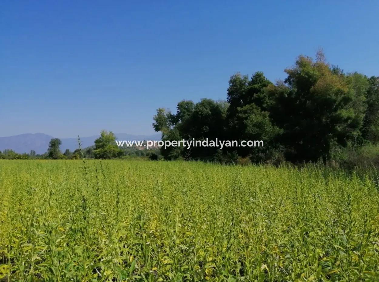 Farm For Sale In Kavakarasi Koycegiz