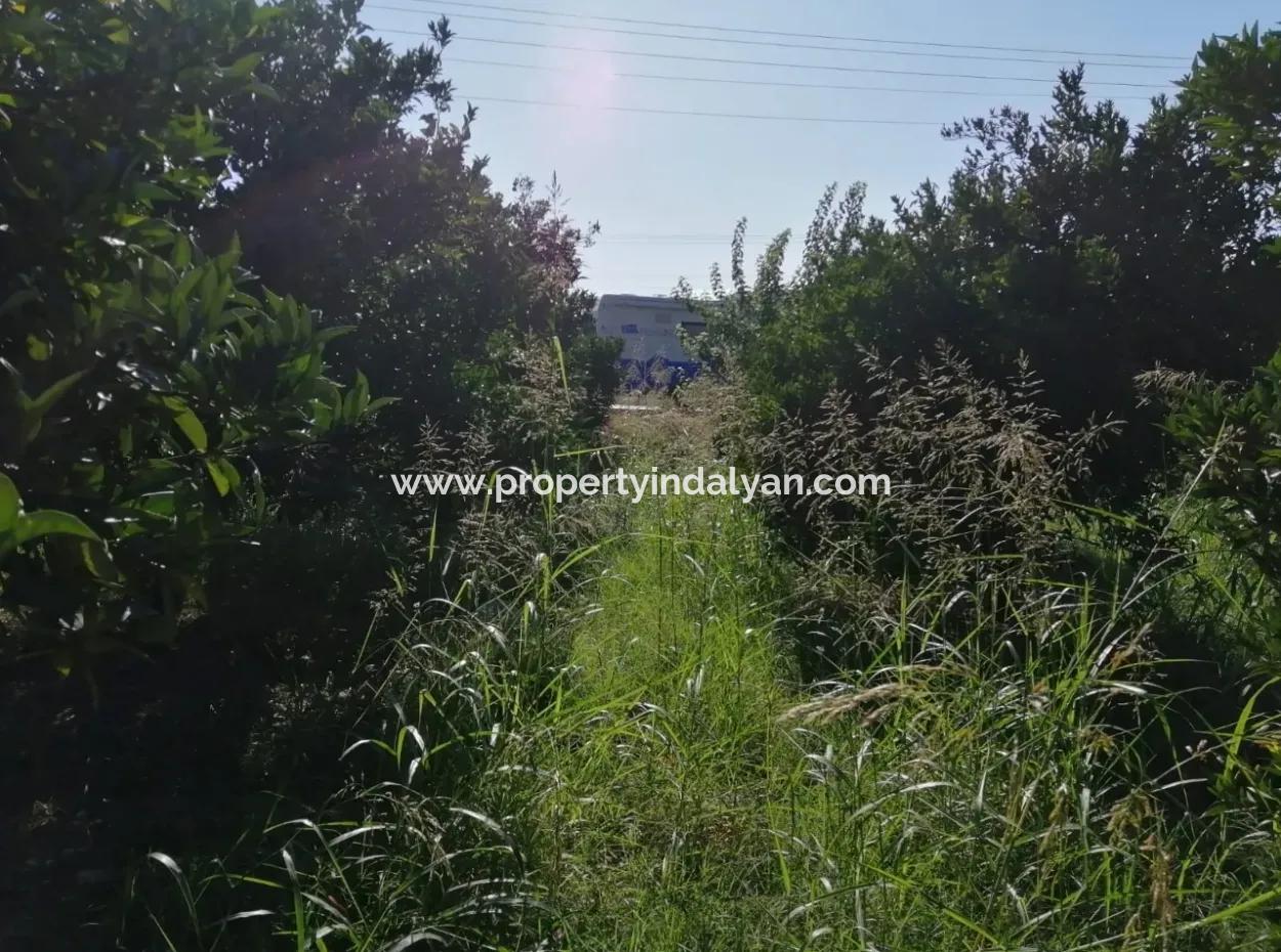 Plot For Sale In Ortaca On The Road To Zero