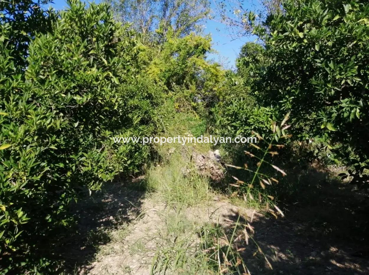 Plot For Sale In Ortaca On The Road To Zero